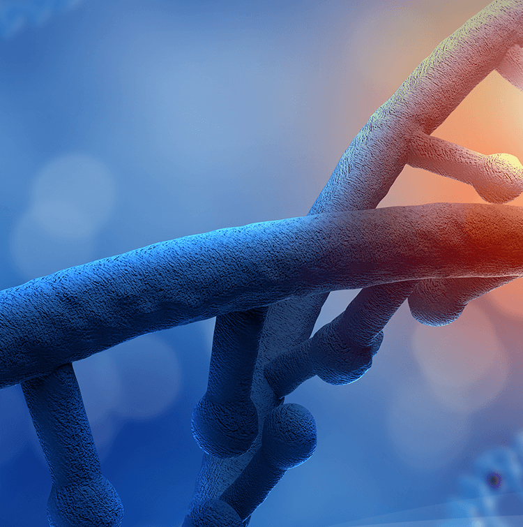 致力于成為最優(yōu)質(zhì)產(chǎn)品和服務(wù)供應(yīng)商